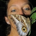 butterfly_la_v_0913_ecu2968.jpg